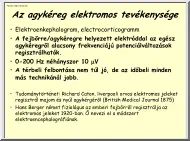 Az agykéreg elektromos tevékenysége