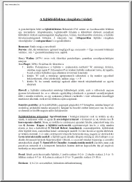 A fejlődéslélektan vizsgálata (vázlat)