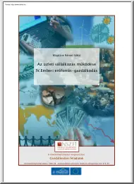 Magdáné Német Ildikó - Az üzleti