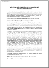A DNS és az RNS felépítésében milyen hasonlóságok és különbségek mutatkoznak?