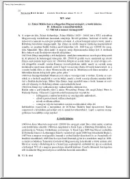 Bozó Bernát - Zrínyi Miklós harca a