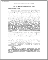 Timár-Székely - A térképi