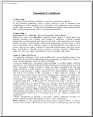 Commandos 2 végigjátszás