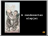 A rendszertan alapjai