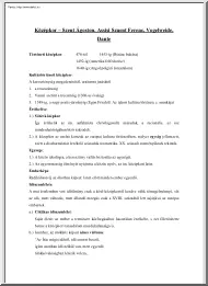 Középkor - Szent Ágoston, Assisi