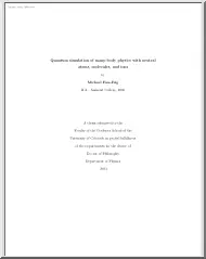 Michael Foss-Feig - Quantum simulation of many-body physics with neutral atoms, molecules, and ions