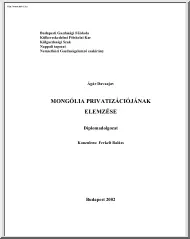 Ágár Davaajav - Mongólia privatizációjának elemzése