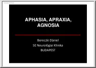 Bereczki Dániel - Aphasia, apraxia, agnosia