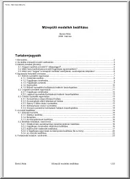 Benkő Attila - Műrepülő modellek