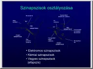 Szinapszisok osztályozása