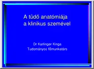 Dr. Karlinger Kinga - A tüdő