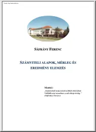 Sáfrány Ferenc - Számviteli alapok