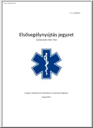 Rácz Tibor - Elsősegélynyújtás