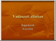 Vadászati állattan