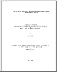 Aysu Berk - Geometrical Analysis of Bridge Forms and their Feasibility in Structural Design