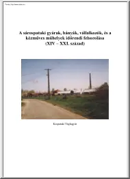 Tamás Erzsébet - A sárospataki