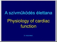 Dr. Kollai Márk - A szívműködés