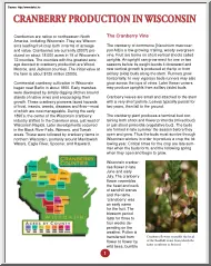 Cranberry production in Wisconsin