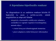 A hipotalamo-hipofizeális rrendszer