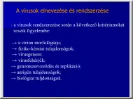 A vírusok elnevezése és rendszerzése