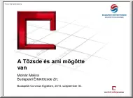 Molnár Melina - A Tőzsde és ami