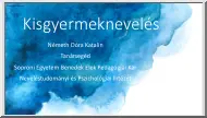 Németh Dóra Katalin - Kisgyermeknevelés