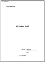 Blaskó Erika - Hospitálási napló