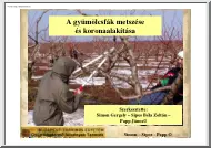 Simon-Sipos-Papp - A gyümölcsfák