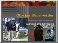 Ökológiai állattenyésztés