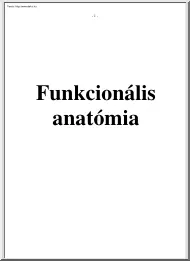 Funkcionális anatómia