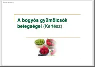 A bogyós gyümölcsök betegségei