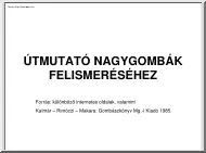 Kalmár-Rimóczi-Makara - Útmutató