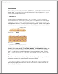 Animal tissues