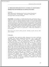 Török Ákos - Az országház