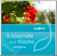 A köszméte, ribiszke, málna, szeder és a szamóca védelme