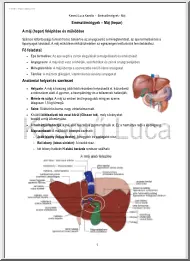 Keserű Luca Kamilla - A máj, hepar