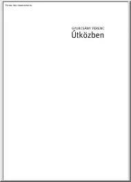Gyurcsány Ferenc - Útközben