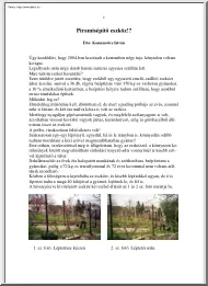 Komanovics István - Piramisépítő