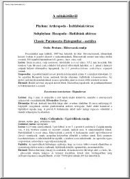 A szitakötőkről