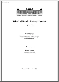 Horák György - WLAN hálózatok
