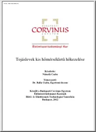 Németh Csaba - Tojáslevek kis