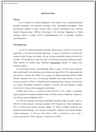 Kertész Imre érettségi tétel, 2003