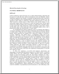 Jeff Ferrell - Cultural Criminology