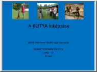 A nemzetközi mentőkutya kiképzése, 4. rész