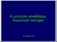 Dr. Sándor Péter - A szívizom vérellátása, koszorúér keringés