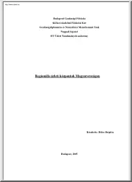 Bilics Brigitta - Regionális üzleti központok Magyarországon