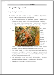 Logisztikai alapok modul, jegyzet