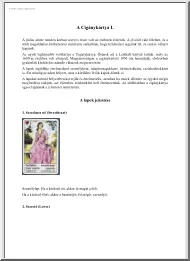 Nayah - A Cigánykártya I