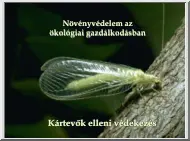 Növényvédelem az ökológiai