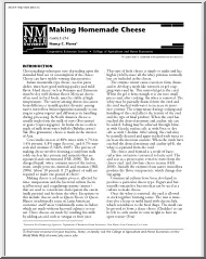 Making homemade cheese